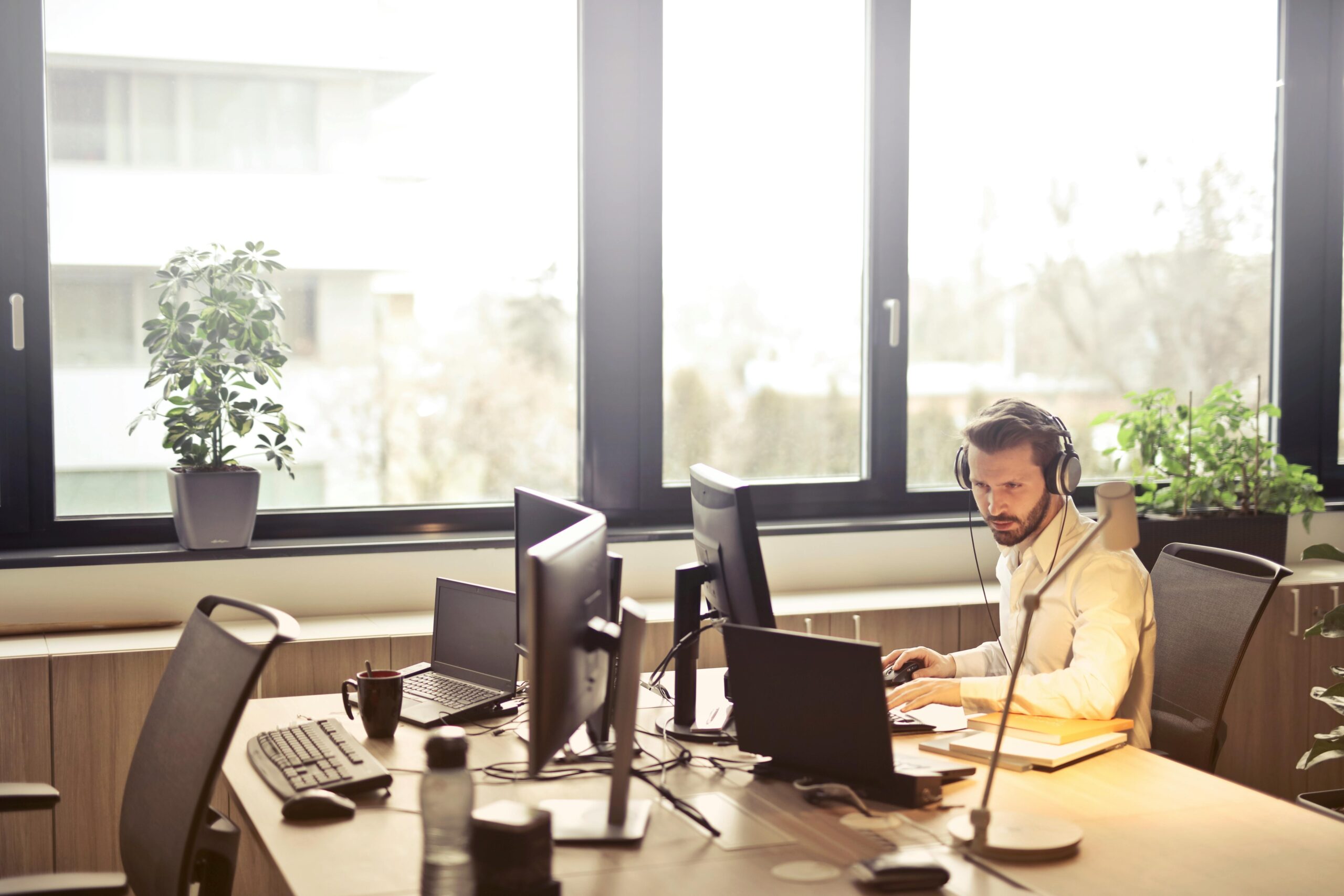 application developer